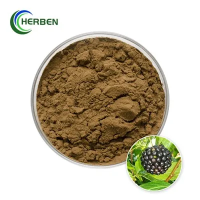 سیبری جینسنگ عصاره پودر
